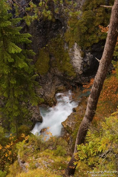 Klamm mit rauschendem Bach, Leutaschklamm, Mittenwald Oberbayern, Deutschland