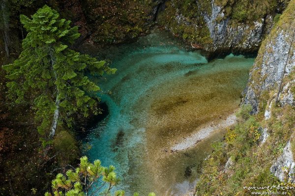 Klamm mit rauschendem Bach, Kiesige Bucht mit türkisfarbenem Wasser, Leutaschklamm, Mittenwald Oberbayern, Deutschland