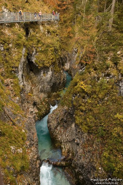 Klamm mit stählernem Steg, Leutaschklamm, Mittenwald Oberbayern, Deutschland