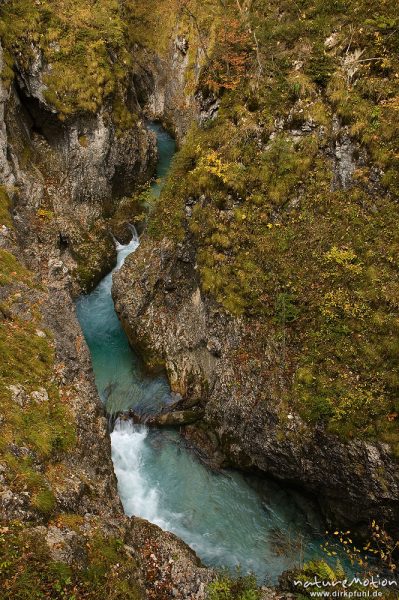 Klamm mit rauschendem Bach, Leutaschklamm, Mittenwald Oberbayern, Deutschland