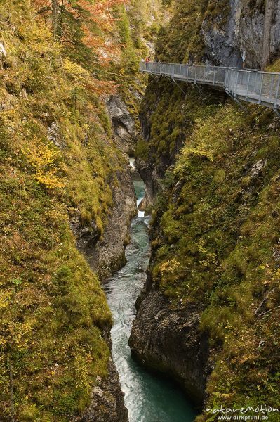 Klamm mit rauschendem Bach, Leutaschklamm, Mittenwald Oberbayern, Deutschland