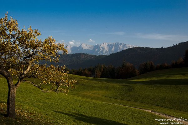 Höhenzüge des Karwendel im Abendlicht, Blick von der Gschwandt-Alm, Garmisch-Partenkirchen, Deutschland