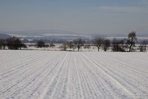 schnebedecktes Getreidefeld, Saatrillen, südlich von Göttingen, Göttingen, Deutschland