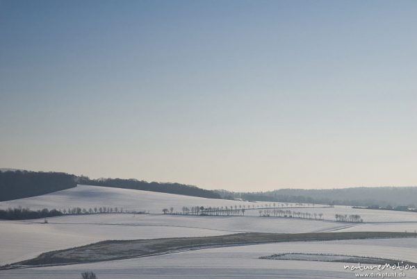 Winterlandschaft mit schneebedeckten Feldern, Feldwegen und Baumreihen, Diemarden bei Göttingen, Deutschland