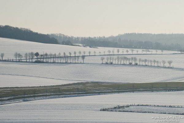 Winterlandschaft mit schneebedeckten Feldern, Feldwegen und Baumreihen, Diemarden bei Göttingen, Deutschland