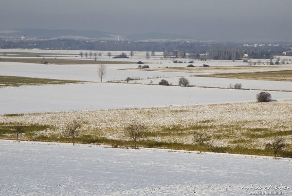 schneebedeckte Felder südlich von Göttingen, Feldwege, Baumreihen, Göttingen, Deutschland
