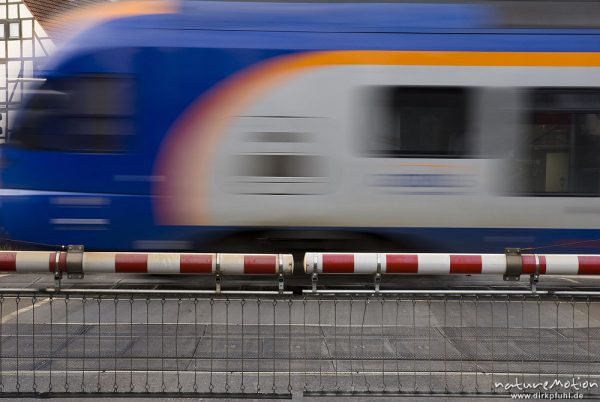 vorbeifahrender Zug, davor geschlossene Schranken eines Bahnübergangs, Cantus, Bahnübergang Friedland, Friedland, Deutschland