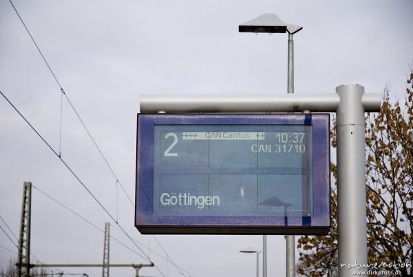 Zuglaufanzeige am Bahnsteig, Cantus Richtung Göttingen, Bahnhof Friedland, Friedland, Deutschland