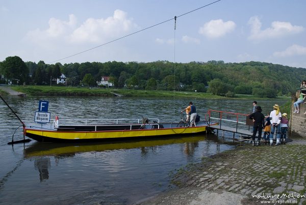 Weserfähre bei Würgassen, Würgassen, Deutschland