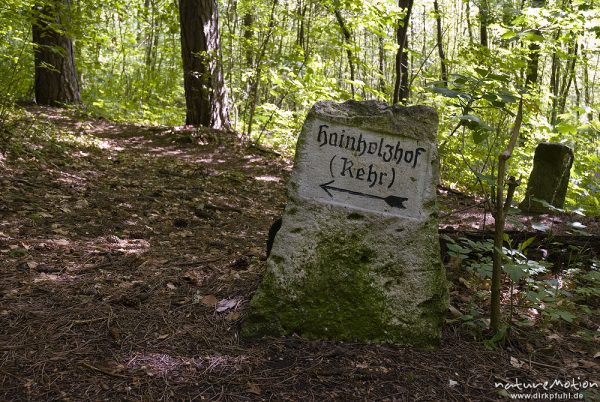 alter Wegstein mit Wegweiser zum Hainholzhof (Kehr), Göttinger Wald, Göttingen, Deutschland
