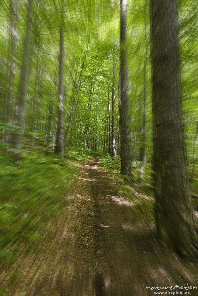 Waldweg durch den Frühlingswald, Bewegungsunschärfe (EBV), Göttinger Wald, Göttingen, Deutschland