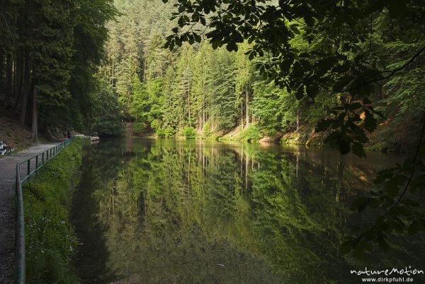 Amselsee, Spiegelungen, Wanderweg, Rathen, Deutschland