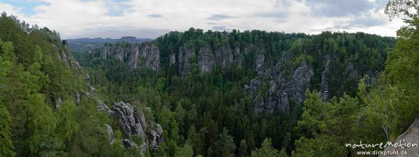 Sandsteinfelsen im Gebiet Höllenhund und Bastei, Rathen, Deutschland