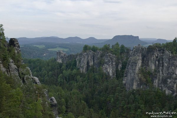 Sandsteinfelsen im Gebiet Höllenhund und Bastei, Lilienstein, Rathen, Deutschland