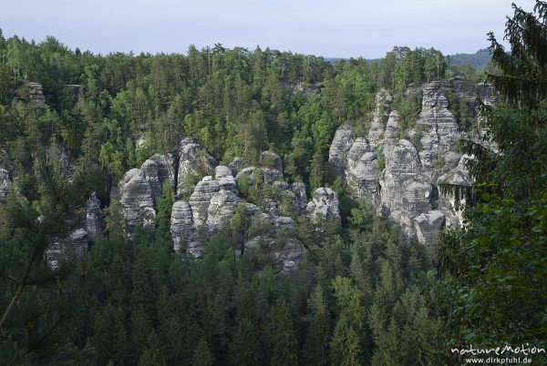 Sandsteinfelsen im Gebiet Höllenhund und Bastei, Rathen, Deutschland