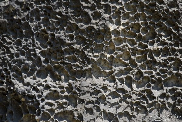 verwitterter Sandstein, netzartige Oberfläche, Kuhstall, Bad Schandau, Deutschland
