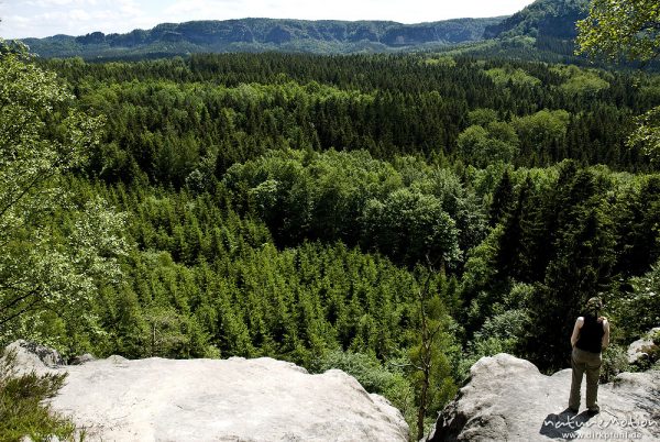 Aussichtspunkt am Kuhstall, Sandsteinfelsen und Wald, Bad Schandau, Deutschland