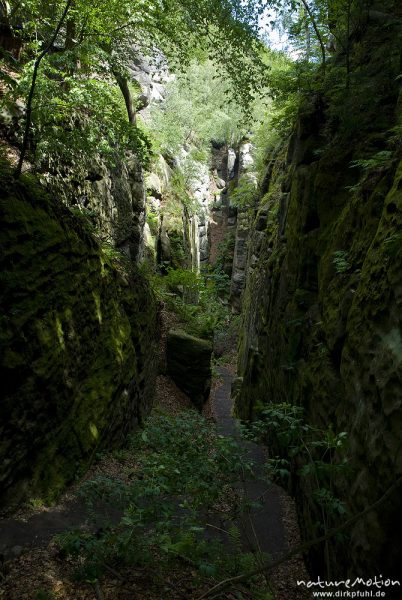 Klamm, Abstieg vom Kuhstall Richtung Winterberg, Bad Schandau, Deutschland