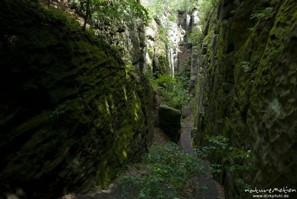 Klamm, Abstieg vom Kuhstall Richtung Winterberg, Bad Schandau, Deutschland