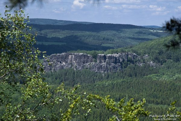 Blick über den Wildensteiner Wald Richtung Kuhstall, Sandsteinfelsen, Bad Schandau, Deutschland