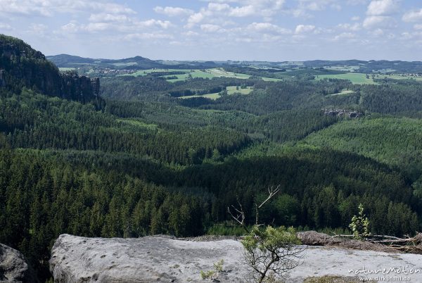 Blick über den Wildensteiner Wald Richtung Kuhstall, Sandsteinfelsen, Bad Schandau, Deutschland