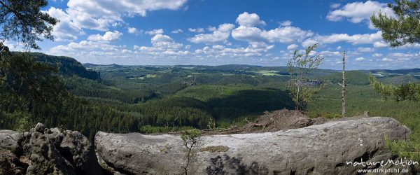 Blick über den Wildensteiner Wald Richtung Kuhstall, Sandsteinfelsen, Bad Schandau, Deutschland