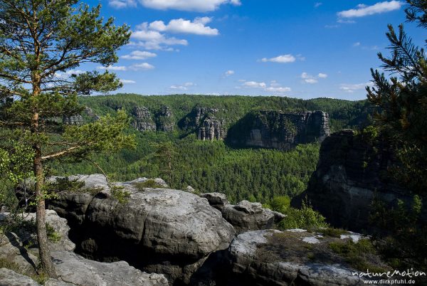 Bärenfangwände, Blick vom Kleinen Winterberg, Bad Schandau, Deutschland