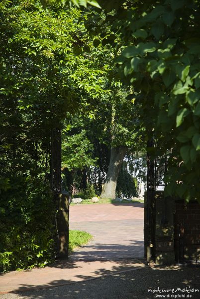 offenes Tor, von grünem Laub umgeben, Stift Bassum, Bassum, Deutschland