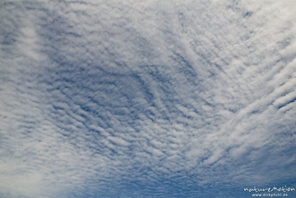 Altocumulus-Wolken über dem Kerstlingeröder Feld, Göttingen, Deutschland