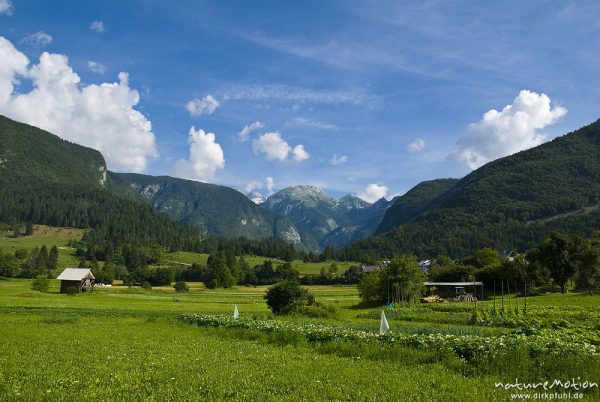 Wiesen vor Bergkulisse, Stara Fucina, Slowenien