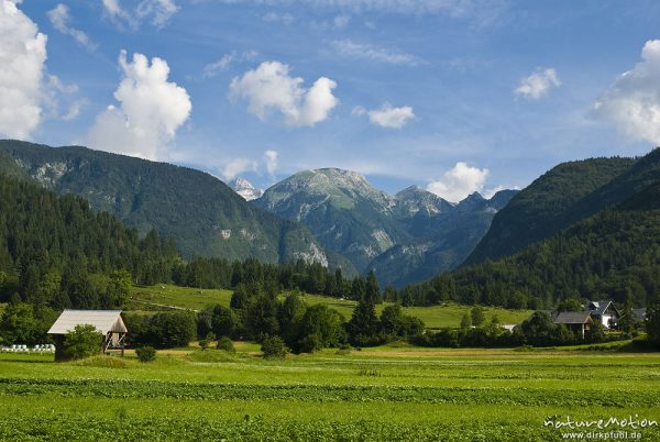 Wiesen vor Bergkulisse, Stara Fucina, Slowenien