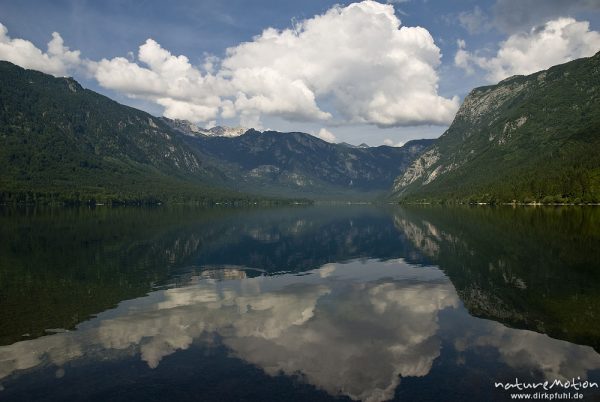 ruhiger See mit Spiegelung, Bohinjer See Wocheiner See, Slowenien