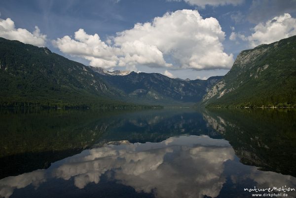 ruhiger See mit Spiegelung, Bohinjer See Wocheiner See, Slowenien