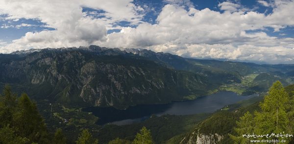 Julische Alpen mit Bohinjer See und Triglav, Vogel (Berggipfel), Slowenien