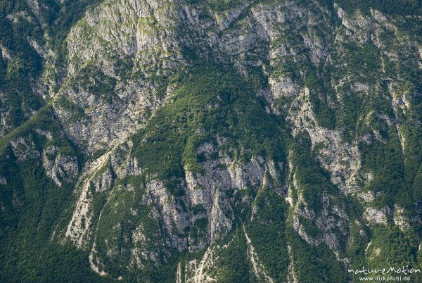 Berghang, Kalkfelsen mit Wald und Wiesen, Abhang zum Bohinjer See, Blick vom Vogel, Bohinjer See Wocheiner See, Slowenien
