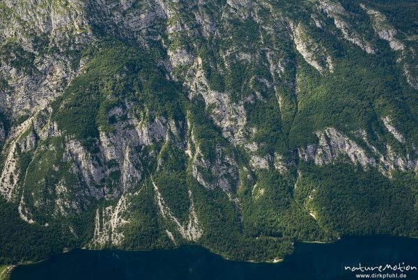 Berghang am Seeufer, Kalkfelsen mit Wald und Wiesen, Abhang zum Bohinjer See, Blick vom Vogel, Bohinjer See Wocheiner See, Slowenien