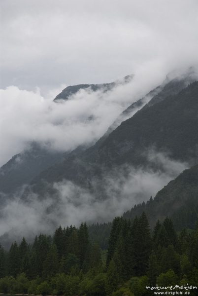 Regenwolken und Nebel über dem Bohinjer See, Seeufer und Berghänge, Bohinjer See Wocheiner See, Slowenien