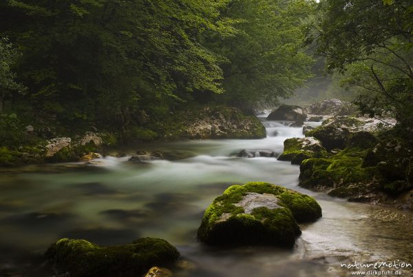 Bergbach mit moosbewachsenen Felsen, Nebel und Regen, Mosnica, Triglav-Nationalpark, Slowenien