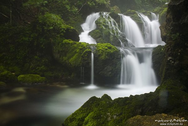 Wasserfall der Mosnica, Regen und Nebelstimmung, Planinska Vojah Alm, Triglav-Nationalpark, Slowenien