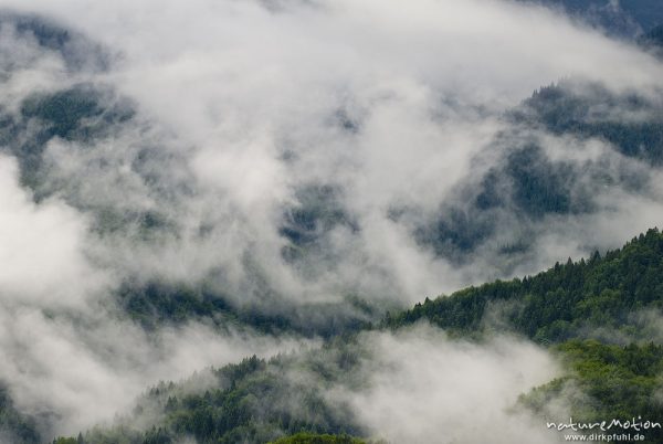 Regenwolken hängen im Bergwald, Berge am Bohinjer See, Bohinjer See Wocheiner See, Slowenien
