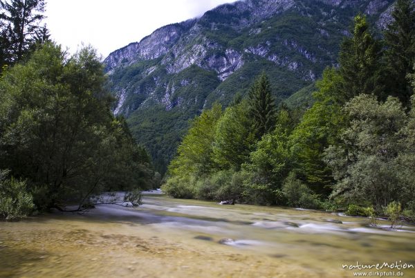 Fluss, Tal der Savica, Bohinjer See Wocheiner See, Slowenien