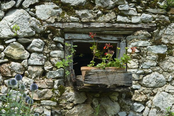 Fenster mit Blumenkasten, Naturstein, Geranien, Bohinjer See Wocheiner See, Slowenien