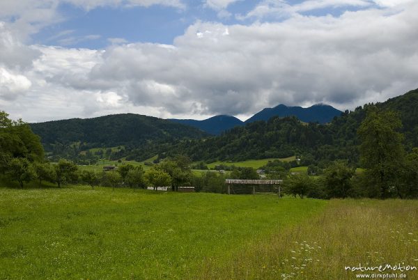 Bergwiesen bei Stara Fuzina, Trockengestell für Heu, Bohinjer See Wocheiner See, Slowenien