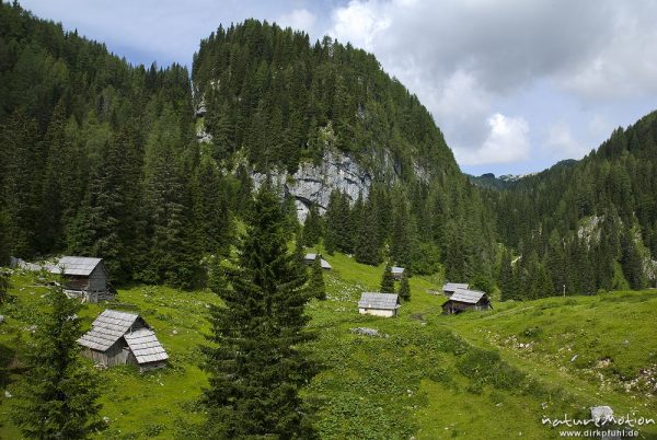 Holzhütten auf Alm, Planina Pri Jezeru, Triglav-Nationalpark, Slowenien