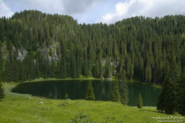 Bergsee, Planina Pri Jezeru, Triglav-Nationalpark, Slowenien