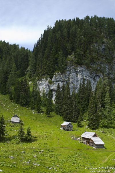 Holzhütten auf Alm, Planina Pri Jezeru, Triglav-Nationalpark, Slowenien