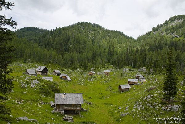 Holzhütten auf Alm, Planina Dedno polje, Triglav-Nationalpark, Slowenien