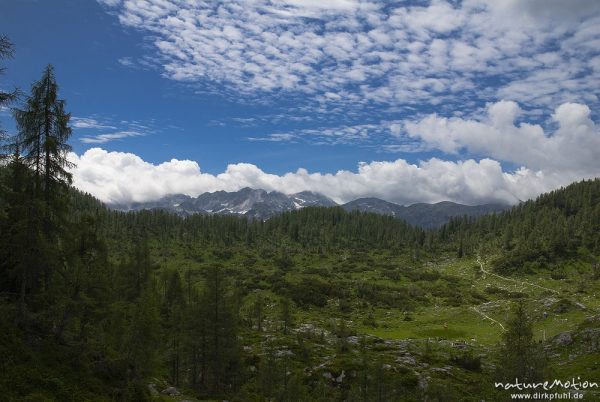 Bergpanorama hinter bewaldetem Grat, Planina Ovcarija, Triglav-Nationalpark, Slowenien