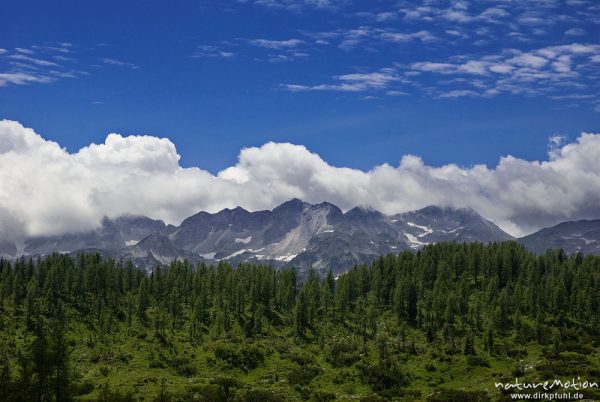 Bergpanorama hinter bewaldetem Grat, Planina Ovcarija, Triglav-Nationalpark, Slowenien