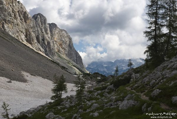 Bergtal mit Wanderweg, Schneefeld und Fichten, Tal der sieben Seen, Triglav-Nationalpark, Slowenien